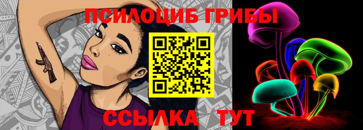 Галлюциногенные грибы Psilocybine cubensis  Псилоцибиновые грибы Psilocybine cubensis  Асино  Вход с VPN 